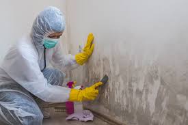 Best Real Estate Mold Inspection  in Colfax, IL